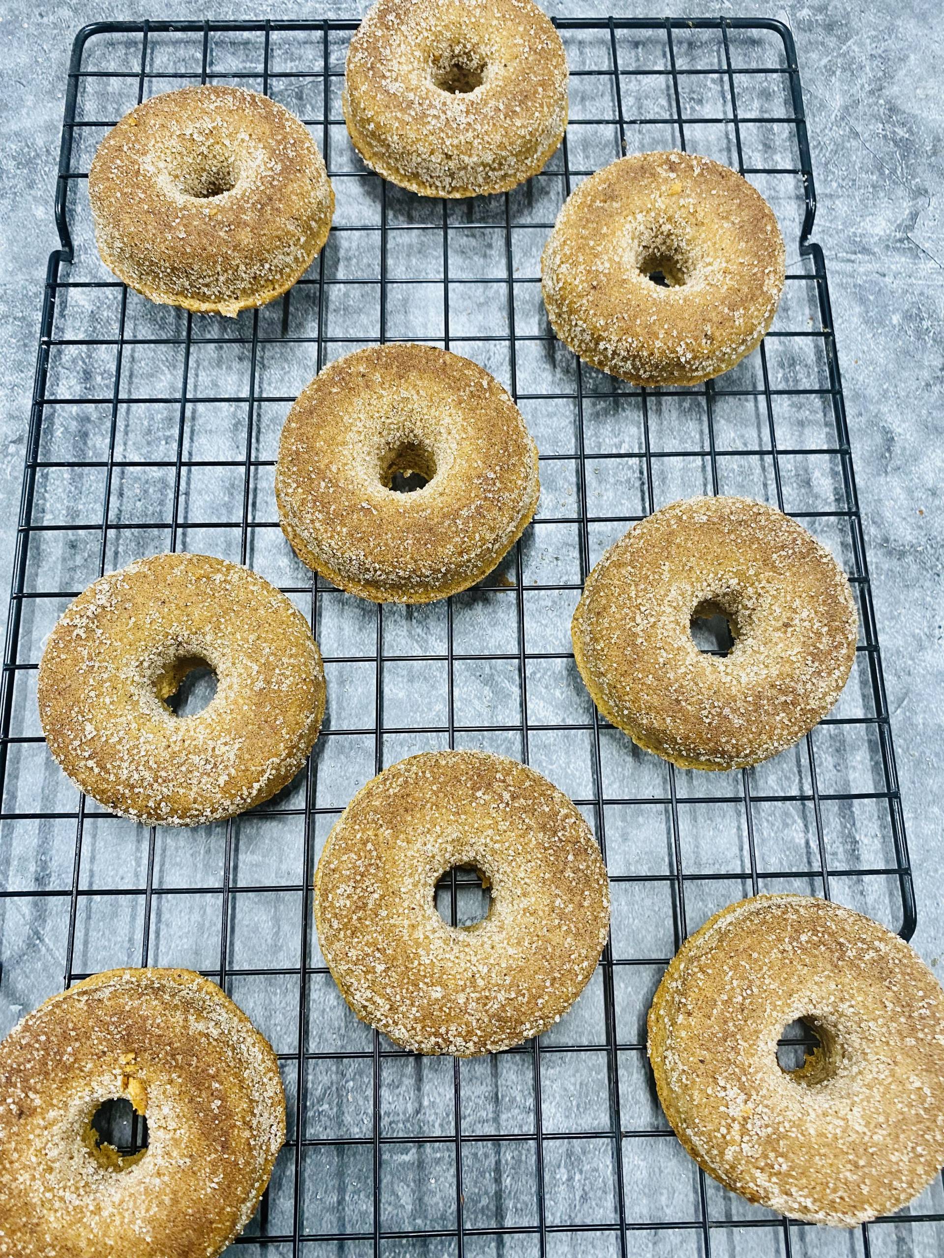 Keto Cinnamon Sugar Doughtnuts (pack of 3) MealFix Canada